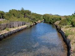 183 D19 PRESQU ILE DE GIENS 2_000029